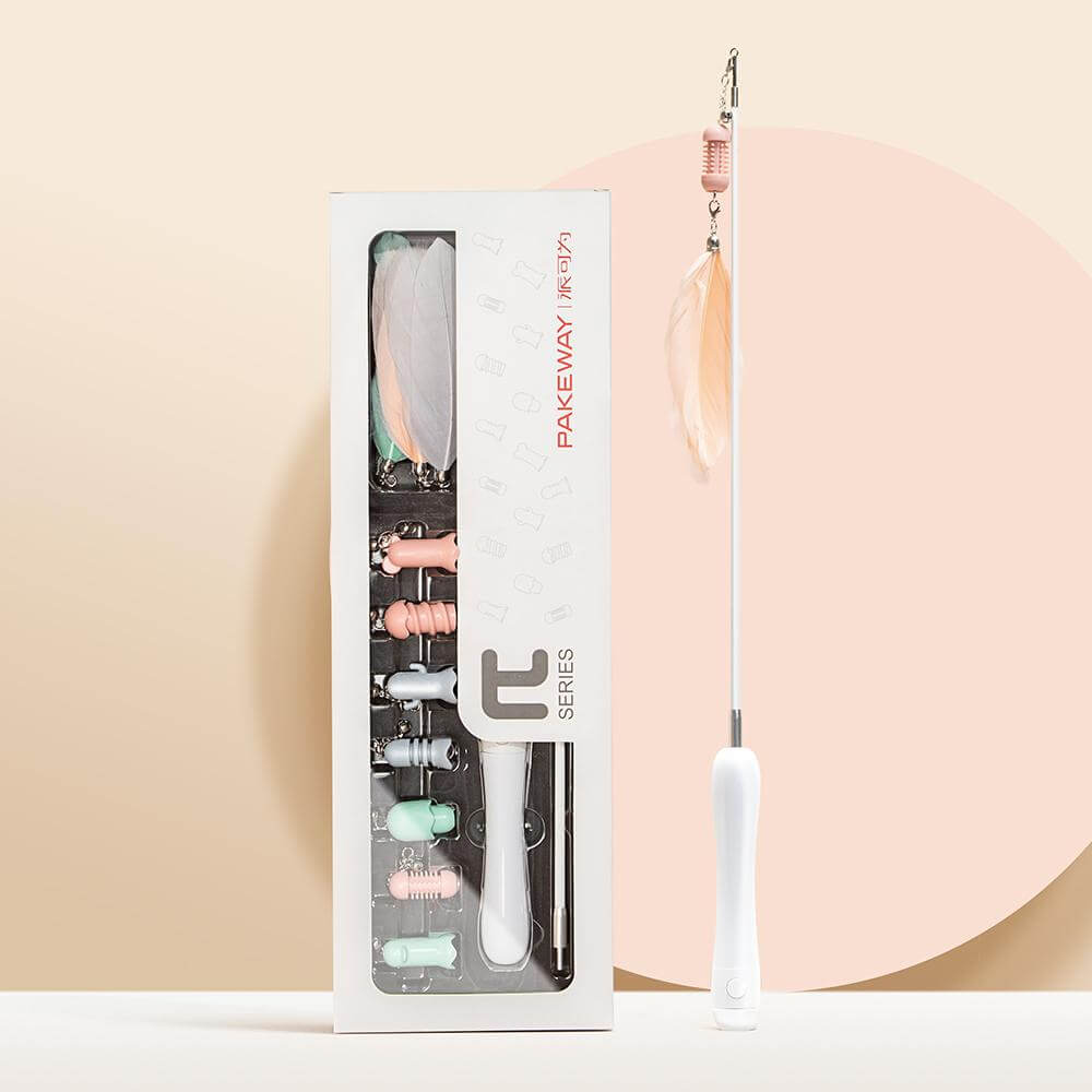 Buy Cat Teaser Wand with Laser