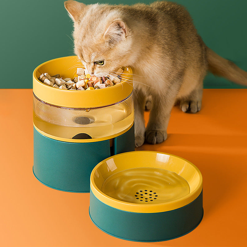 Pet Feeding and Drinking Bowl Combo