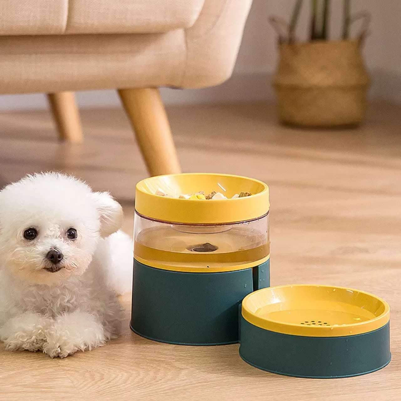Pet Feeding and Drinking Bowl Combo