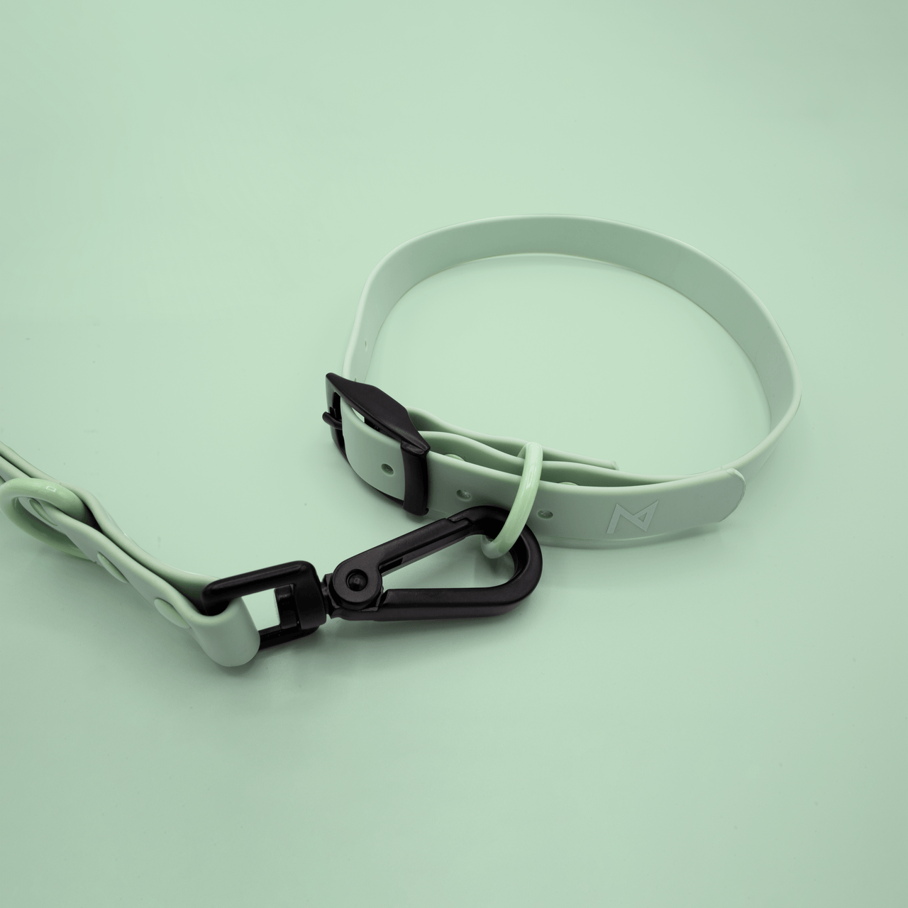 Pistachio cheap dog leashes