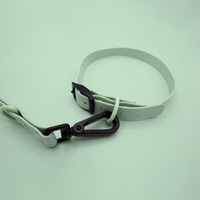 Thumbnail for Pistachio cheap dog leashes