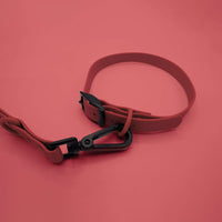 Thumbnail for best dog walking training collar