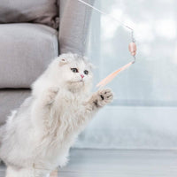 Thumbnail for cat teasers