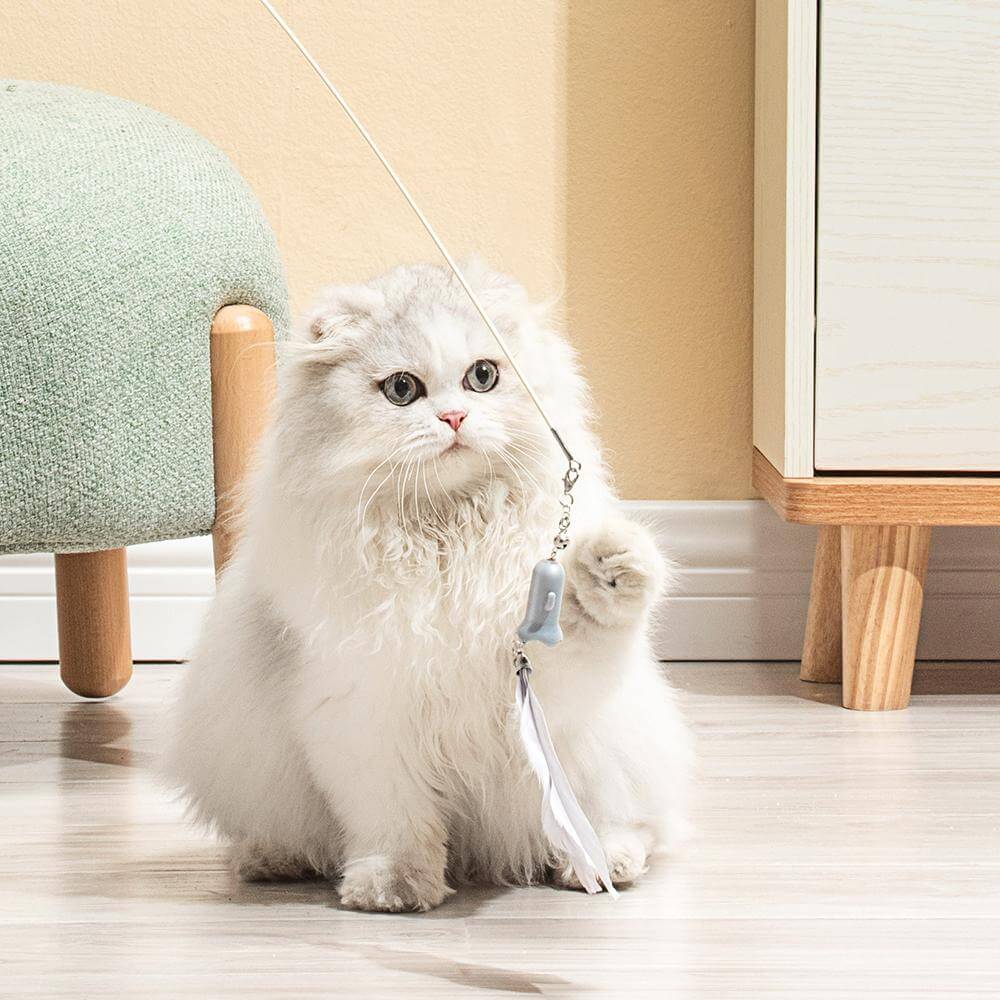 cat toy wand with feathers