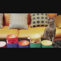 Pet Feeding and Drinking Bowl Combo