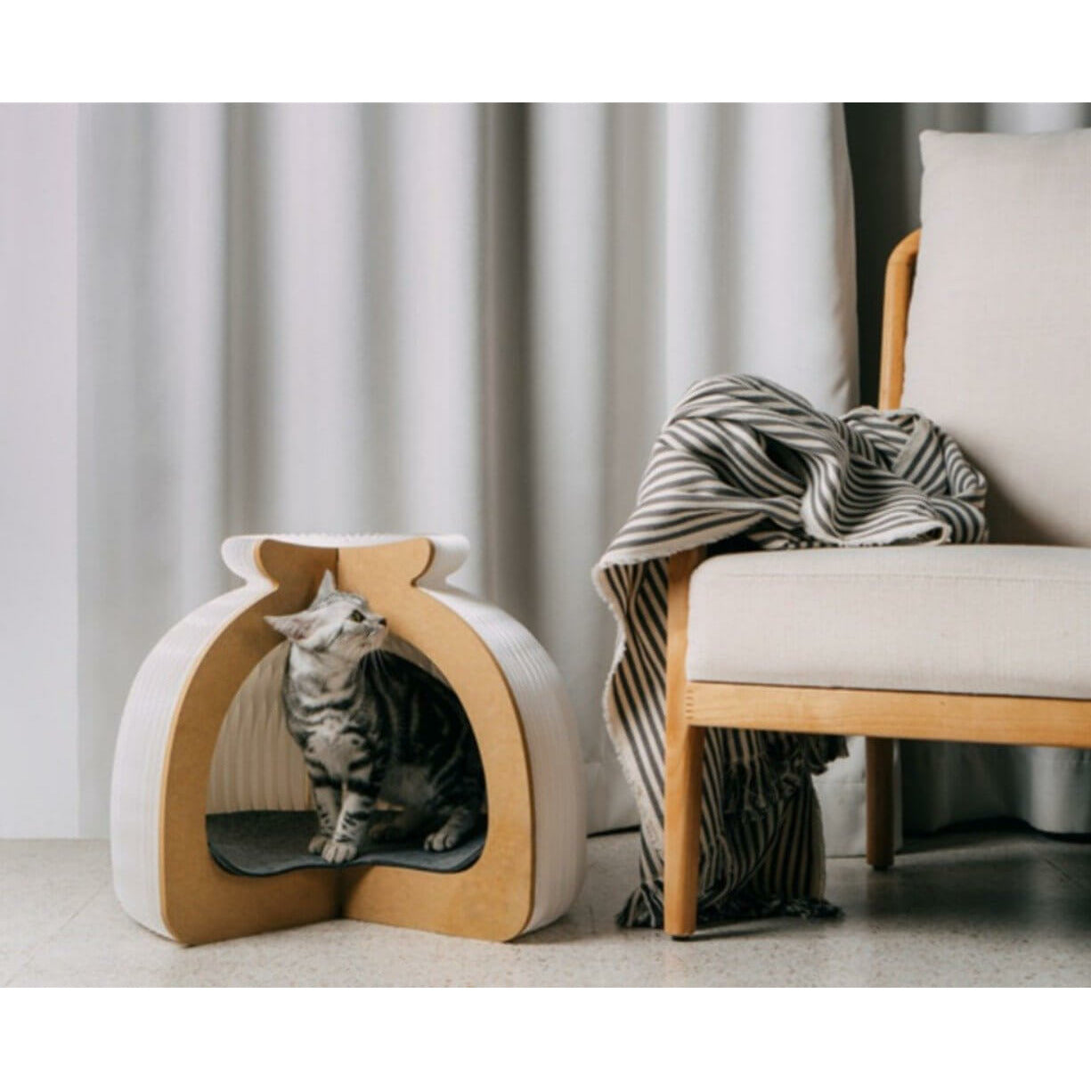 folding cat house